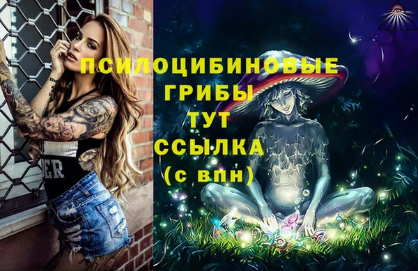 синтетический гашиш Костерёво