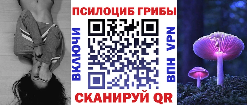 Купить закладки  Афипский  Псилоцибиновые грибы Psilocybine cubensis 